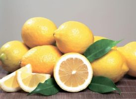 لیمو ترش 2